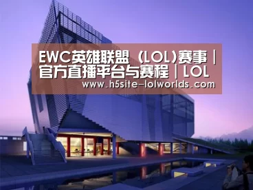 案例展示六