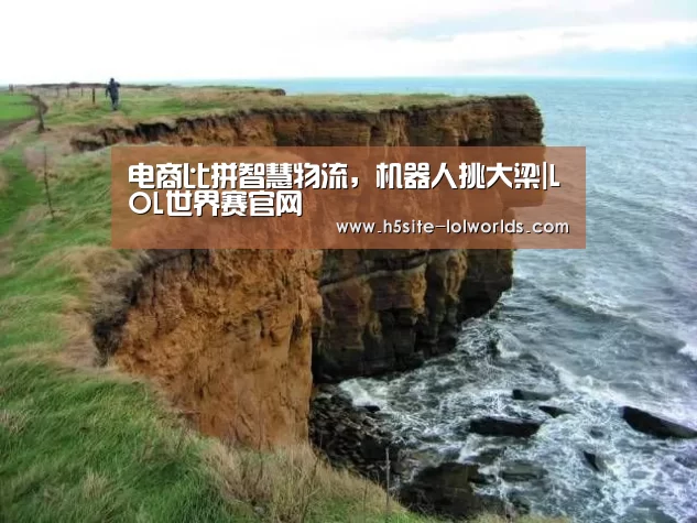电商比拼智慧物流,机器人挑大梁|LOL世界赛官网(图3) 全球总决赛官网