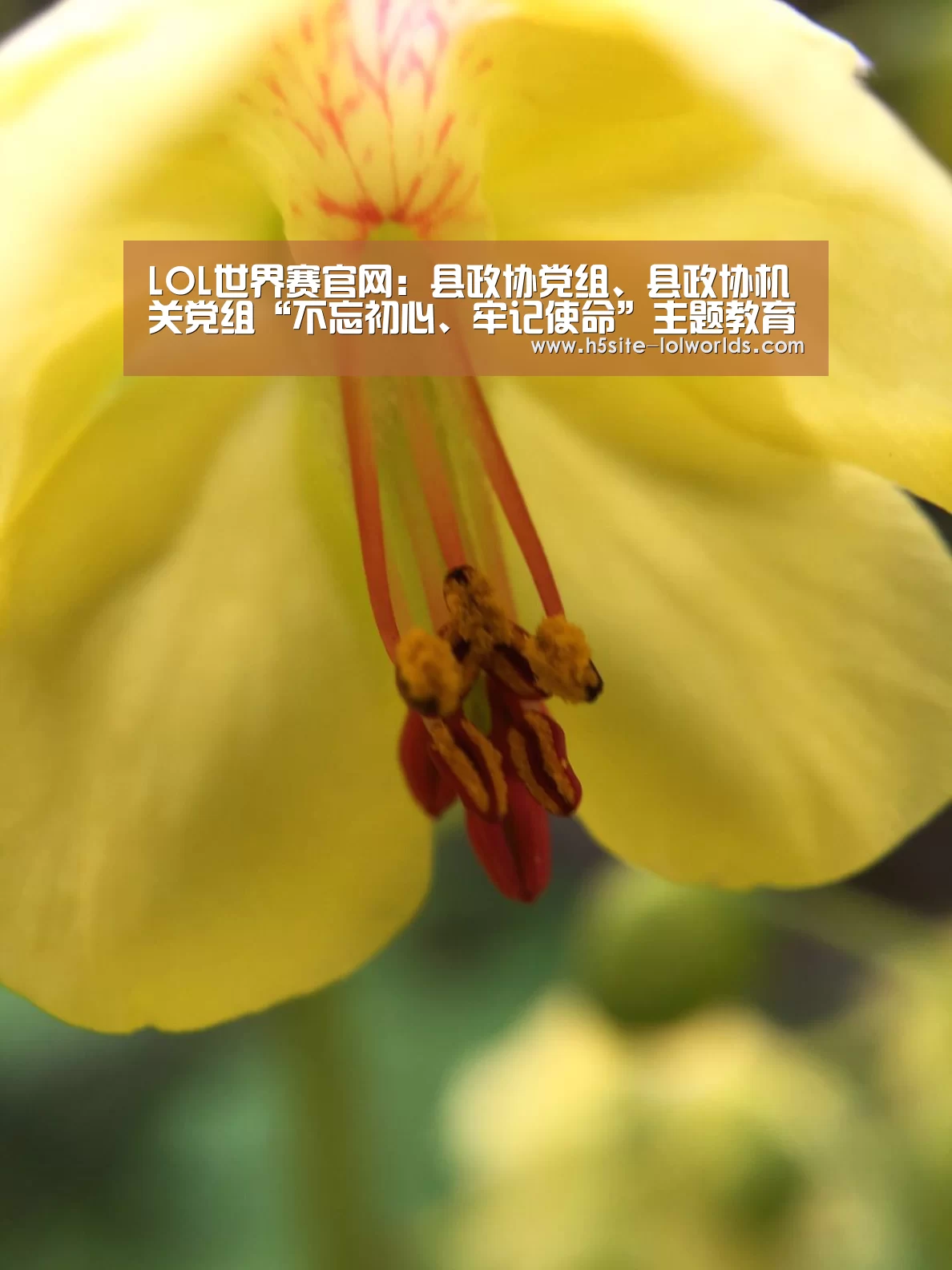 LOL世界赛官网:县政协党组、县政协机关党组“不忘初心、牢记使命”主题教育工作会议召开(图1) 全球总决赛官网