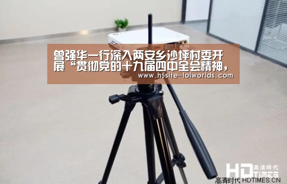 曾强华一行深入两安乡沙坪村委开展“贯彻党的十九届四中全会精神,服务基层送温暖”走访慰问活动-LOL世界赛官网(图3) 全球总决赛官网
