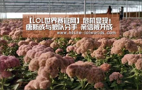 【LOL世界赛官网】危机显现!唐斯或与狼队分手 亲信被开成导火索(图1) 英雄联盟世界赛